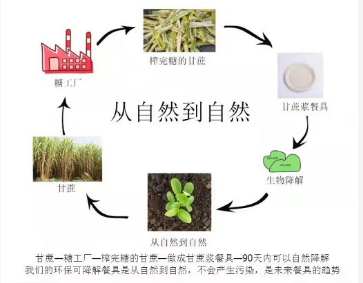 環(huán)保紙漿餐具多長時(shí)間可以完全降解？